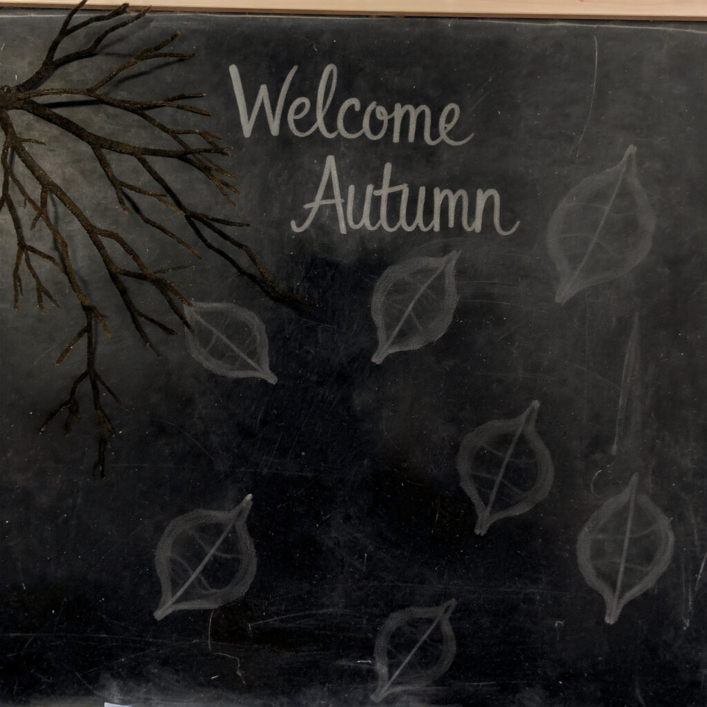 a chalkboard scene with branches in one