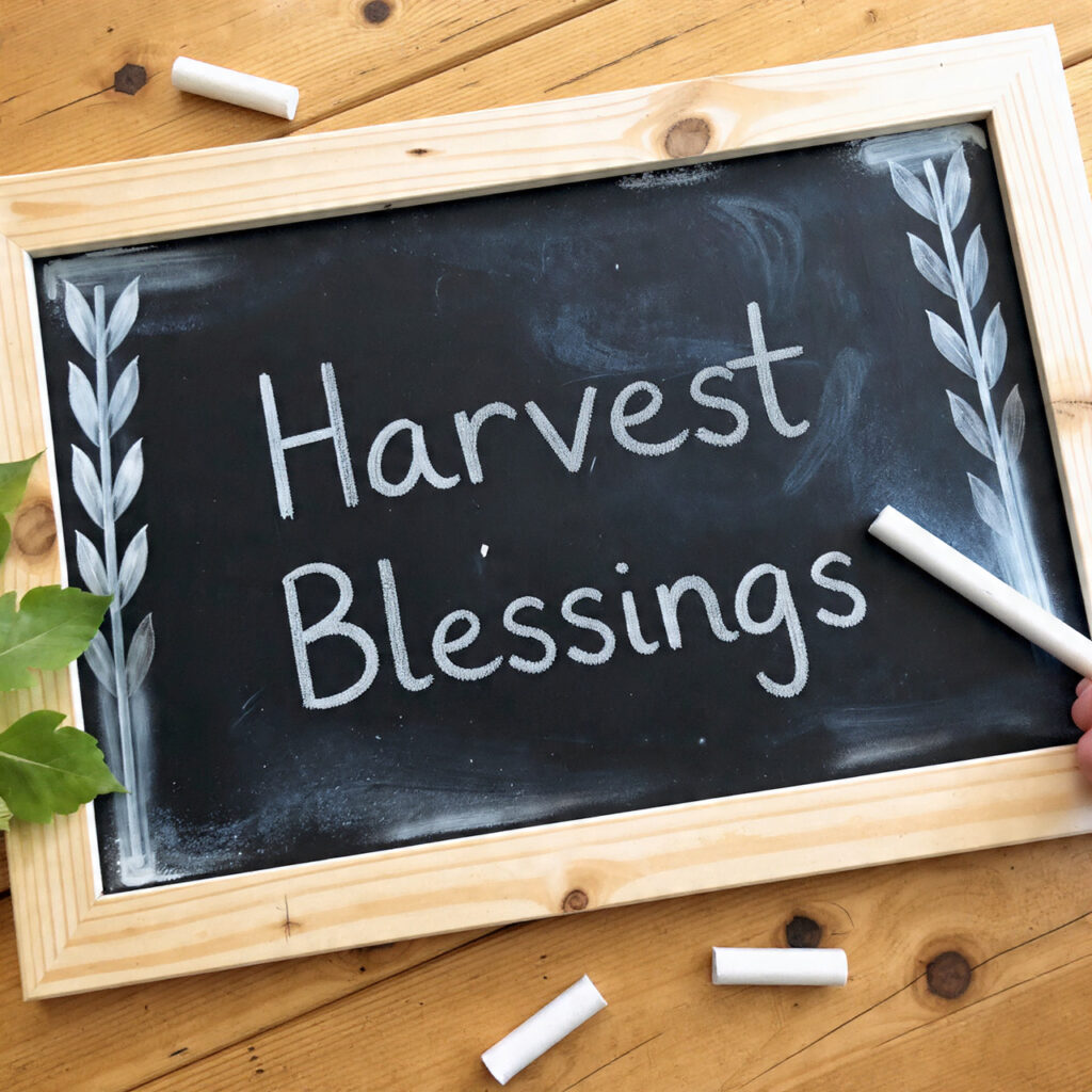 a fall chalkboard with corn stalks drawn