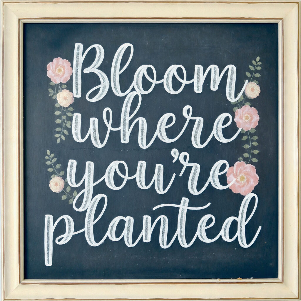 Bloom Where You're Planted" Quote