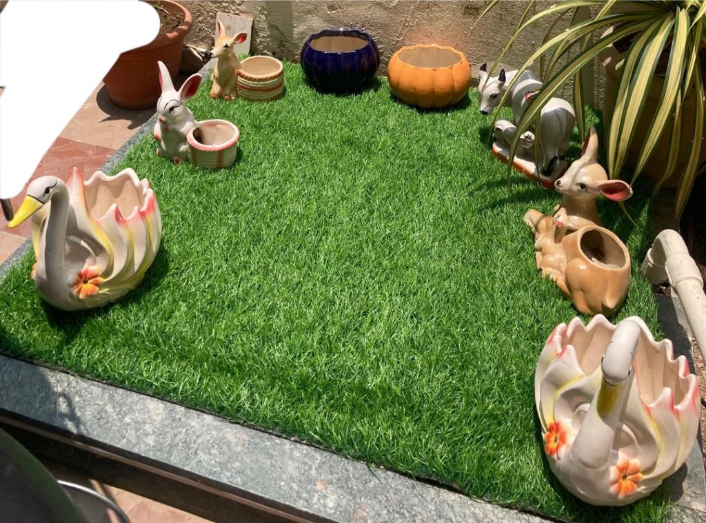 Plants in Neutral Ceramic Pots