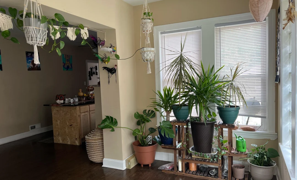 29 Cozy Reading Nook Ideas That Turn Any Corner Into a Relaxing Escape You'll Never Want to Leave 22 A Small Plant or Fresh Botanicals