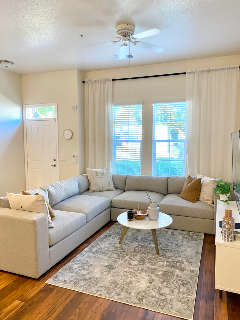 A Small Rug That Defines the Zone