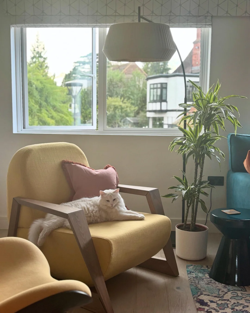 Make It Non-Negotiable: Protect the Corner