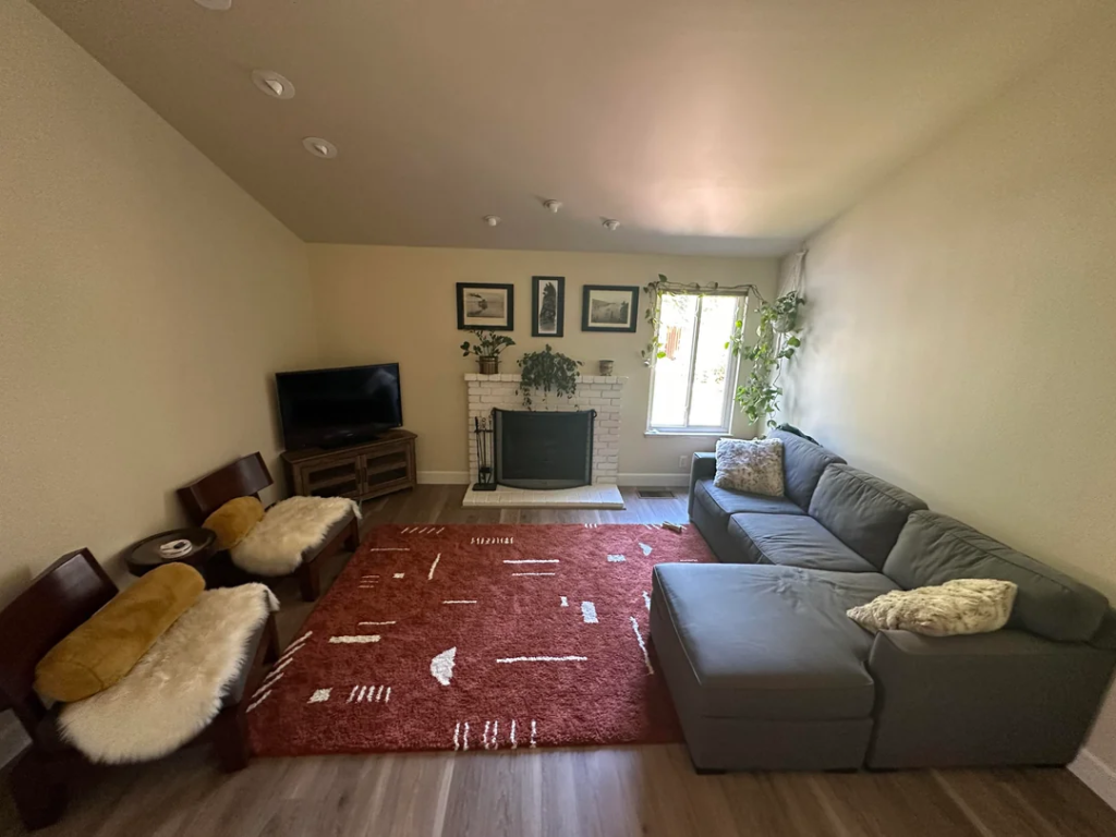 A Large Floor Plant as a Room Focal Point