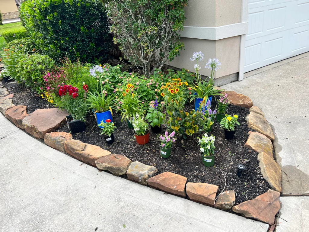 A Cluster of Three Plants at Different Heights
