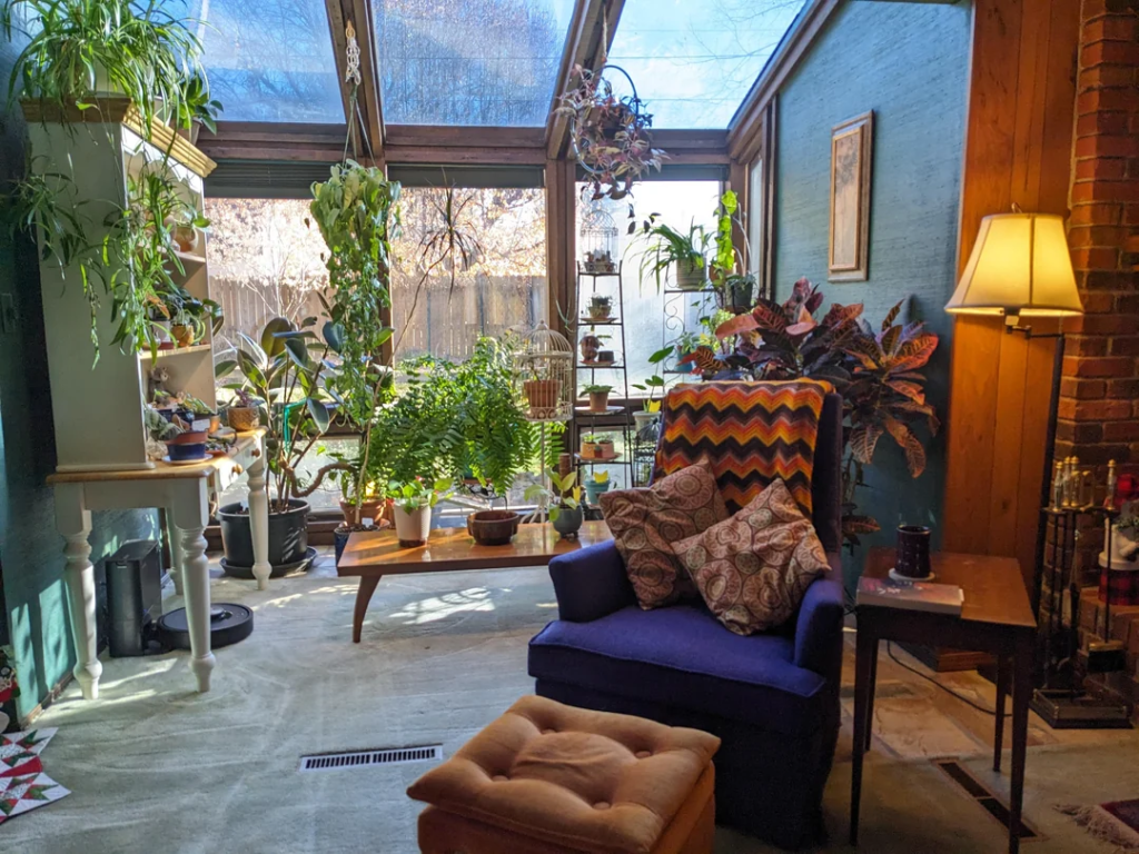 A Large Hanging Plant Above a Reading Chair or Sofa