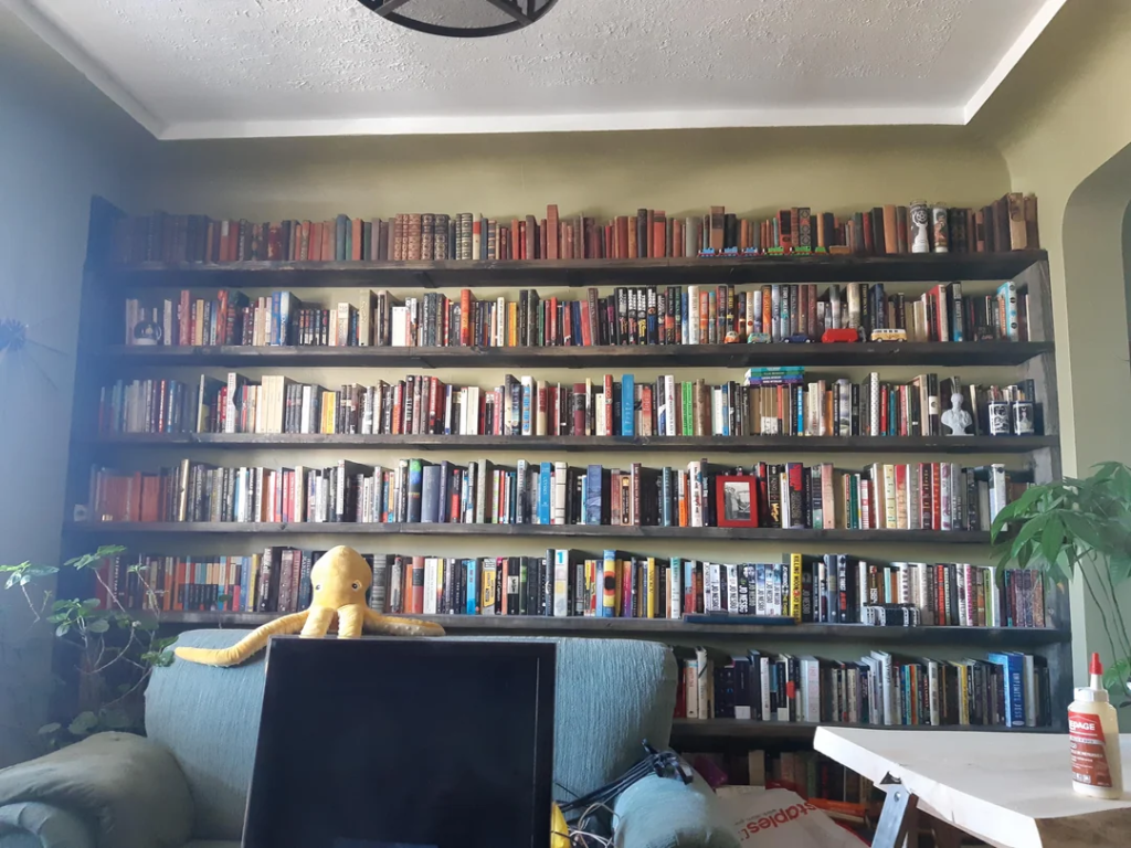 Living Room: The Bookshelf Ecosystem
