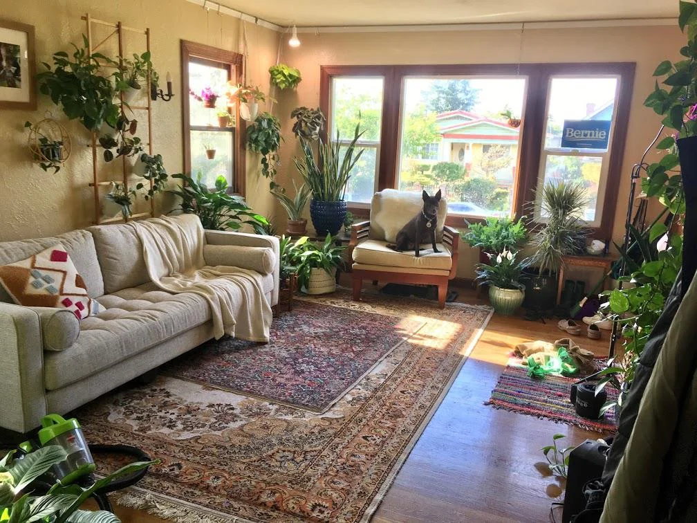 Living Room: Plants Flanking the Television