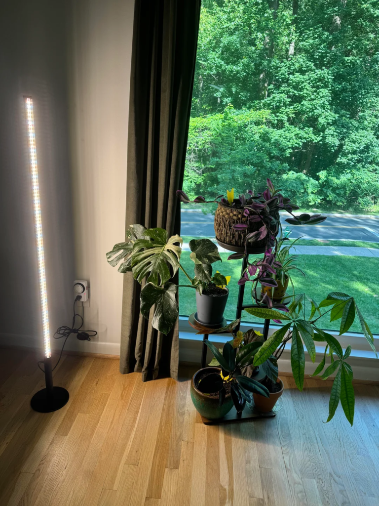A Tiered Plant Stand for Maximum Greenery in Minimal Floor Space