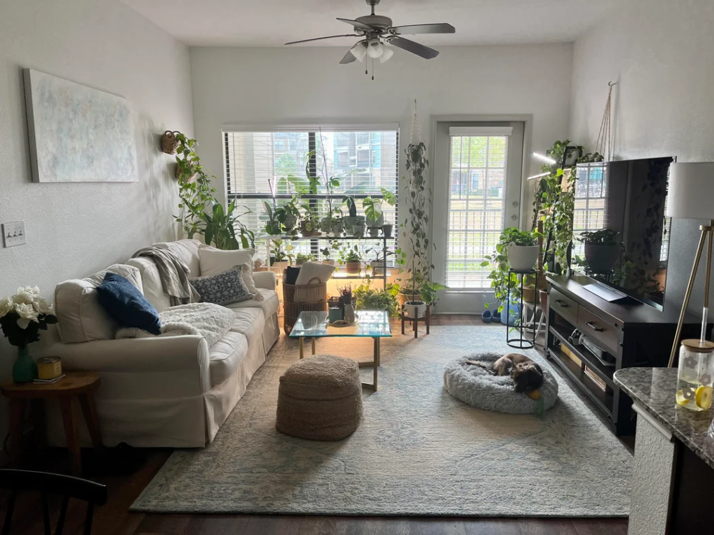 Matching Pots Throughout One Room