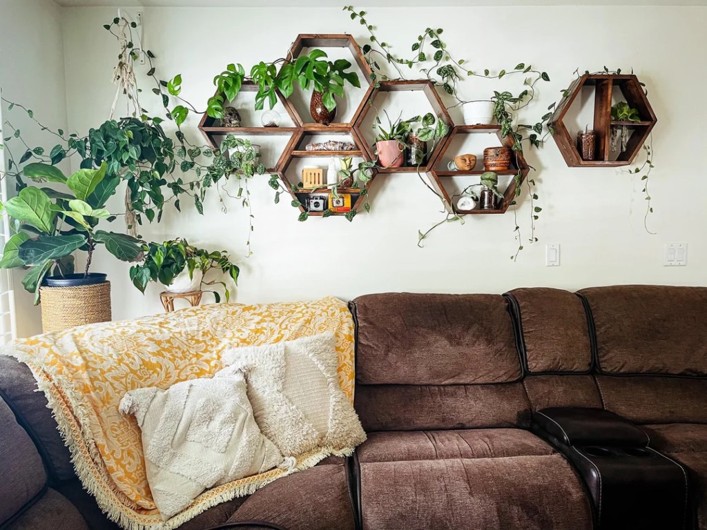 Seasonal Rotation of Plants and Positions