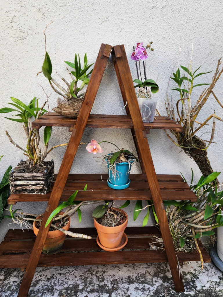 A Tiered Ladder Shelf Devoted to Plants