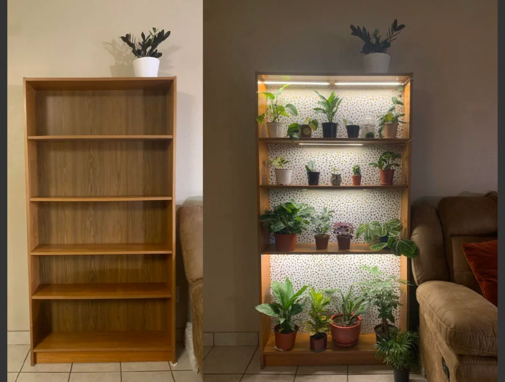 A Bookcase Repurposed as a Plant Shelf