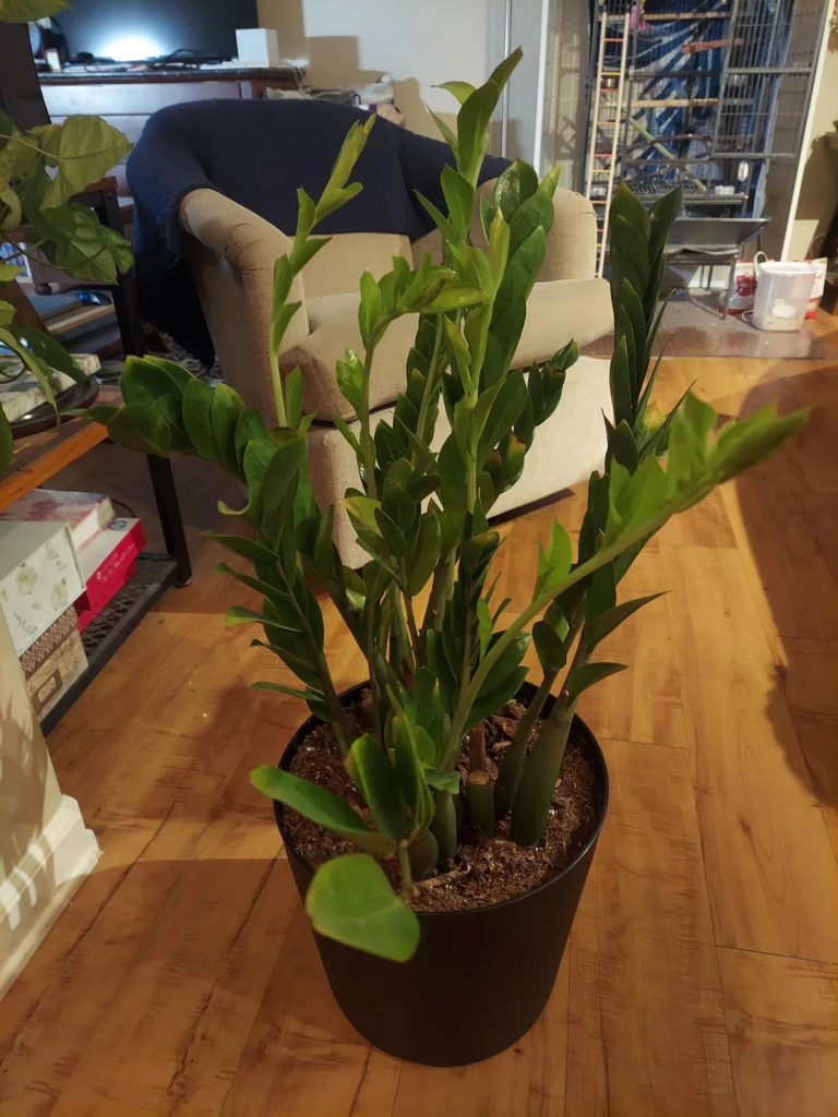 Adding Non-Plant Objects Sparingly