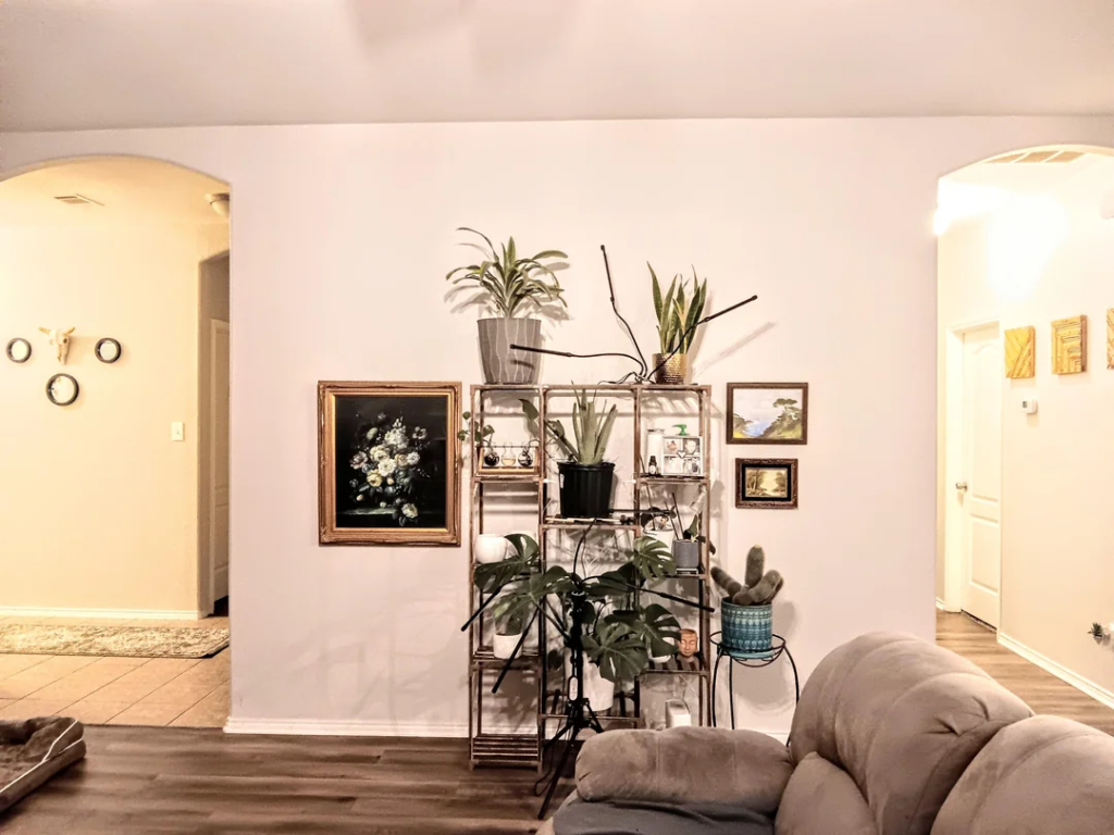 28 Small Space Plant Decor Ideas That Maximize Greenery and Make Your Home Feel Fresh and Alive 2 A Wall-Mounted Plant Shelf at Eye Level