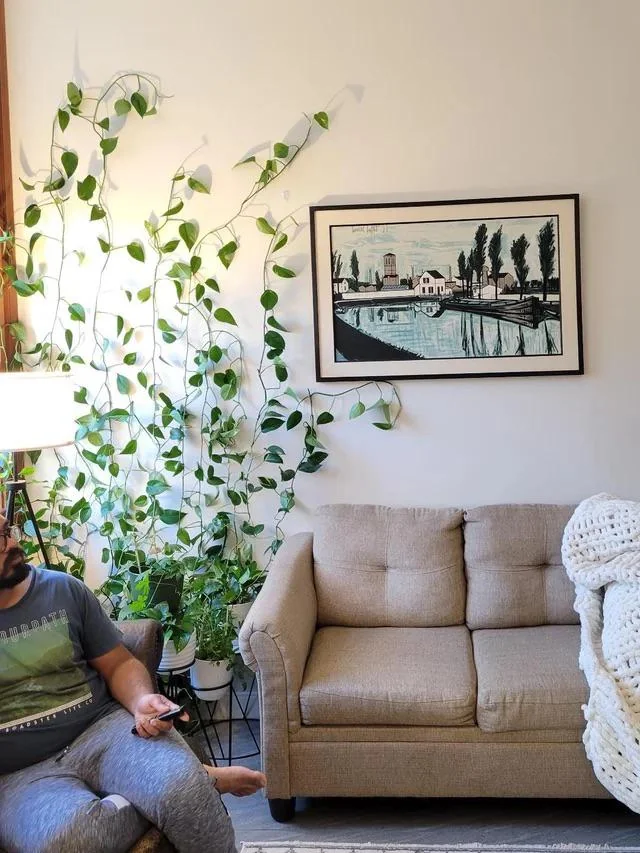 28 Small Space Plant Decor Ideas That Maximize Greenery and Make Your Home Feel Fresh and Alive 3 image 276