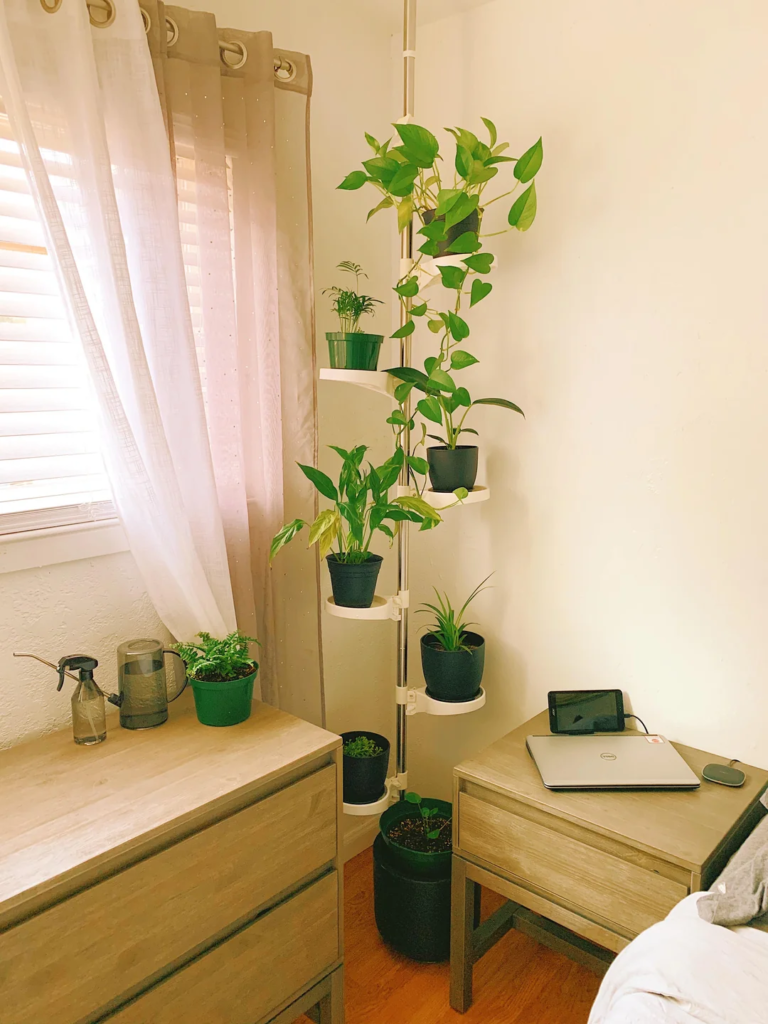 28 Small Space Plant Decor Ideas That Maximize Greenery and Make Your Home Feel Fresh and Alive 4 image 277