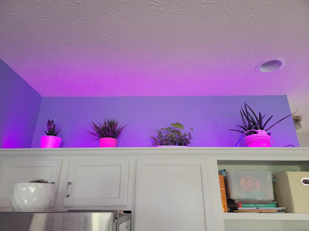 28 Small Space Plant Decor Ideas That Maximize Greenery and Make Your Home Feel Fresh and Alive 11 image 284