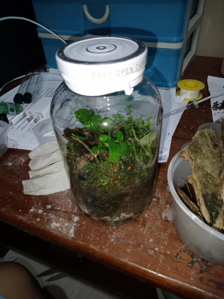 28 Small Space Plant Decor Ideas That Maximize Greenery and Make Your Home Feel Fresh and Alive 13 image 286