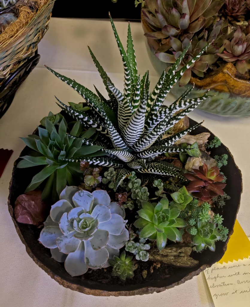 28 Small Space Plant Decor Ideas That Maximize Greenery and Make Your Home Feel Fresh and Alive 14 image 287