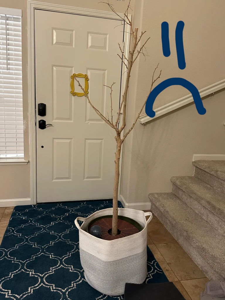 28 Small Space Plant Decor Ideas That Maximize Greenery and Make Your Home Feel Fresh and Alive 15 image 290