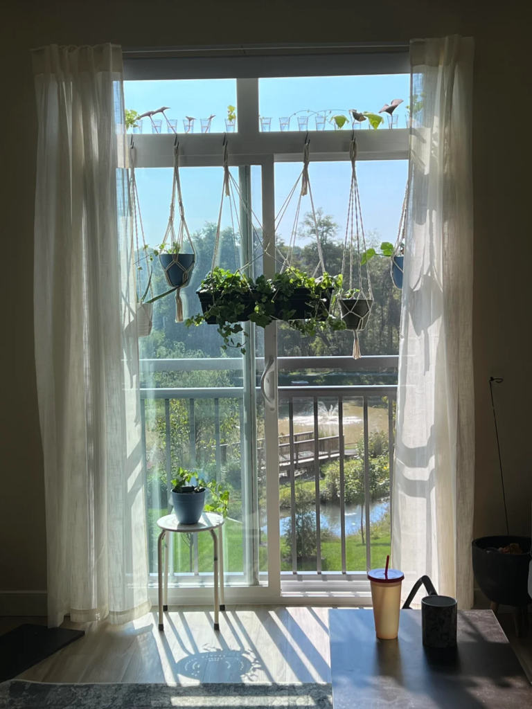 28 Small Space Plant Decor Ideas That Maximize Greenery and Make Your Home Feel Fresh and Alive 16 image 291