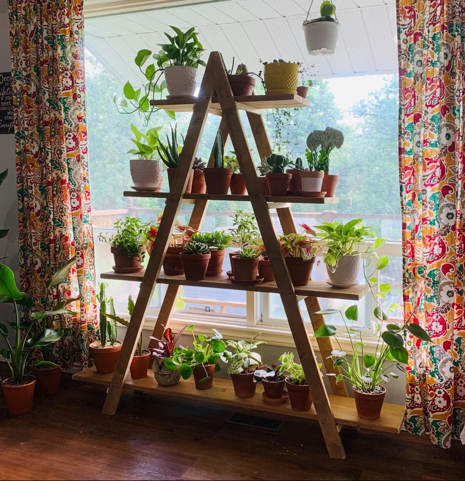 28 Small Space Plant Decor Ideas That Maximize Greenery and Make Your Home Feel Fresh and Alive 20 image 296