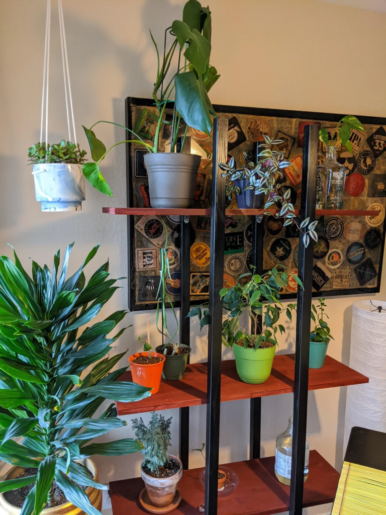 28 Small Space Plant Decor Ideas That Maximize Greenery and Make Your Home Feel Fresh and Alive 21 image 297