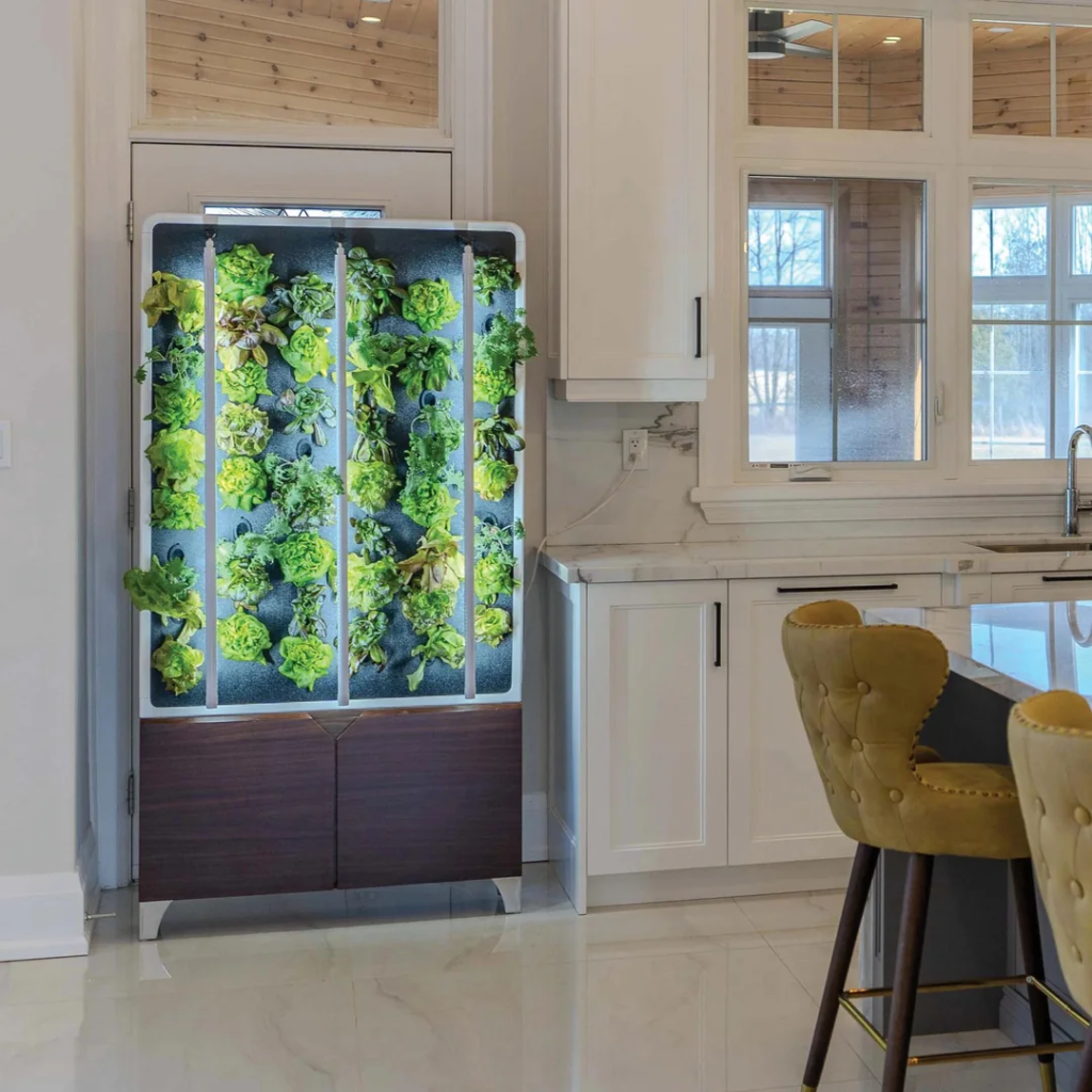 28 Small Space Plant Decor Ideas That Maximize Greenery and Make Your Home Feel Fresh and Alive 23 image 299