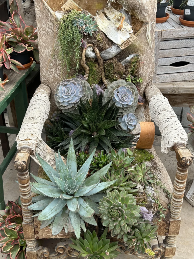 28 Small Space Plant Decor Ideas That Maximize Greenery and Make Your Home Feel Fresh and Alive 24 image 300