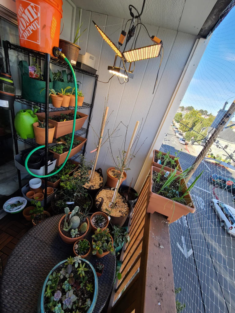 28 Small Space Plant Decor Ideas That Maximize Greenery and Make Your Home Feel Fresh and Alive 26 image 302