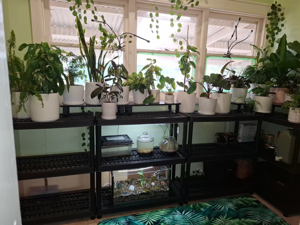 28 Small Space Plant Decor Ideas That Maximize Greenery and Make Your Home Feel Fresh and Alive 27 image 303